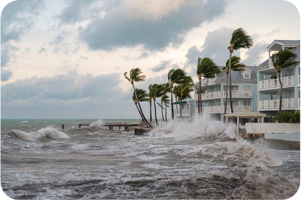 Hurricane winds and waves